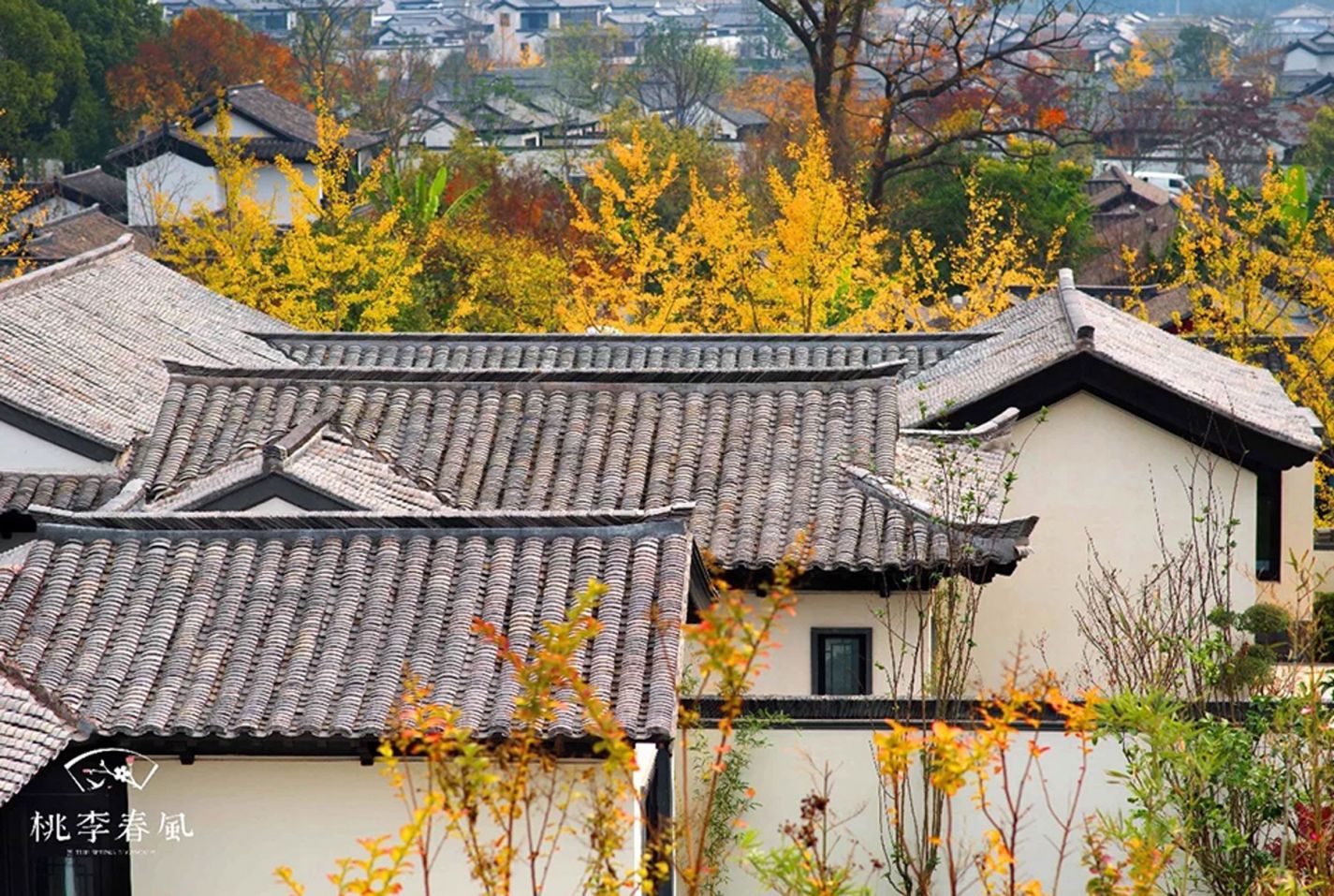 同升国际(中国区)有限公司官网